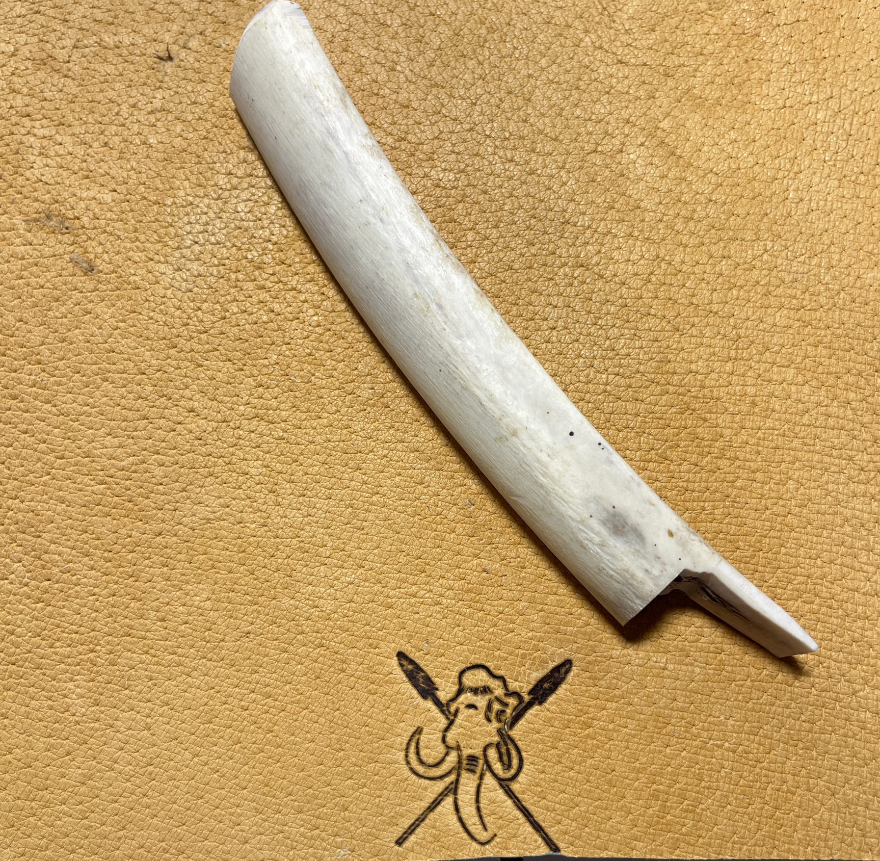 Buffalo Rib Pressure flaker