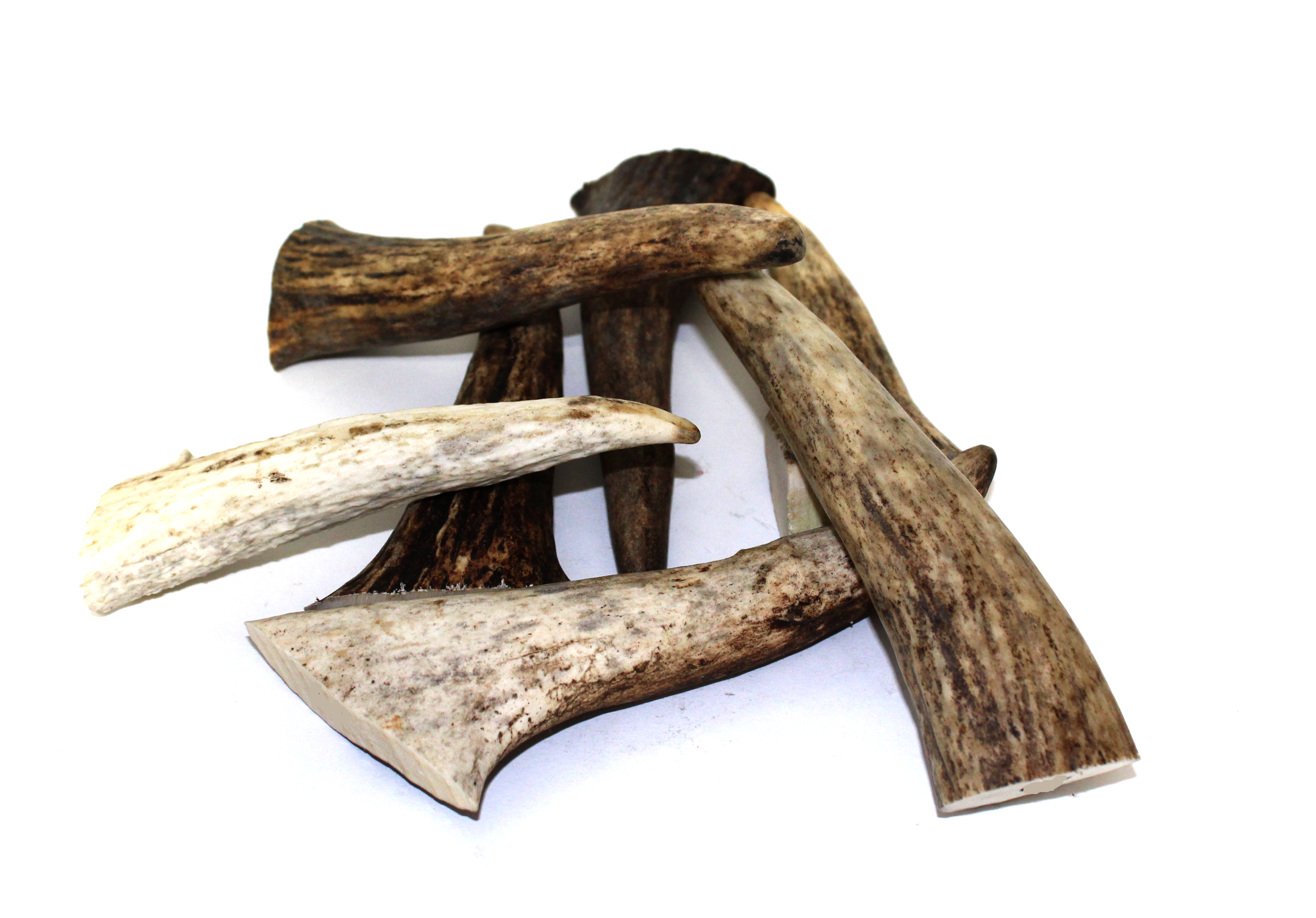 Premium Moose Tines( Select-a-size)