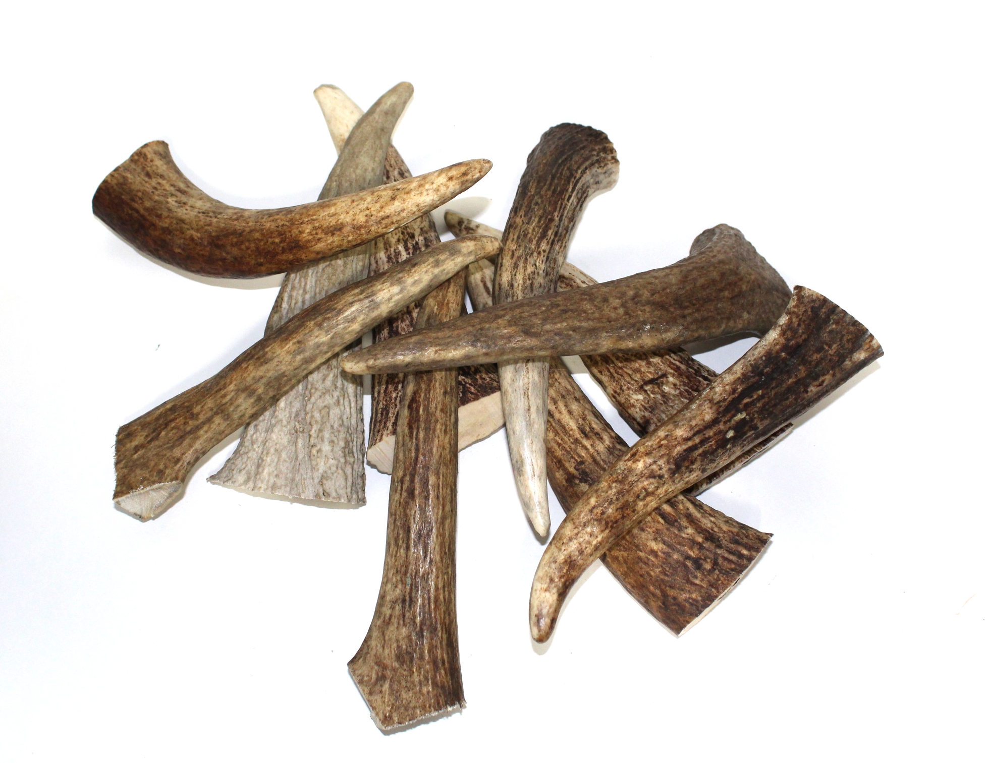 Premium Moose Tines( Select-a-size)