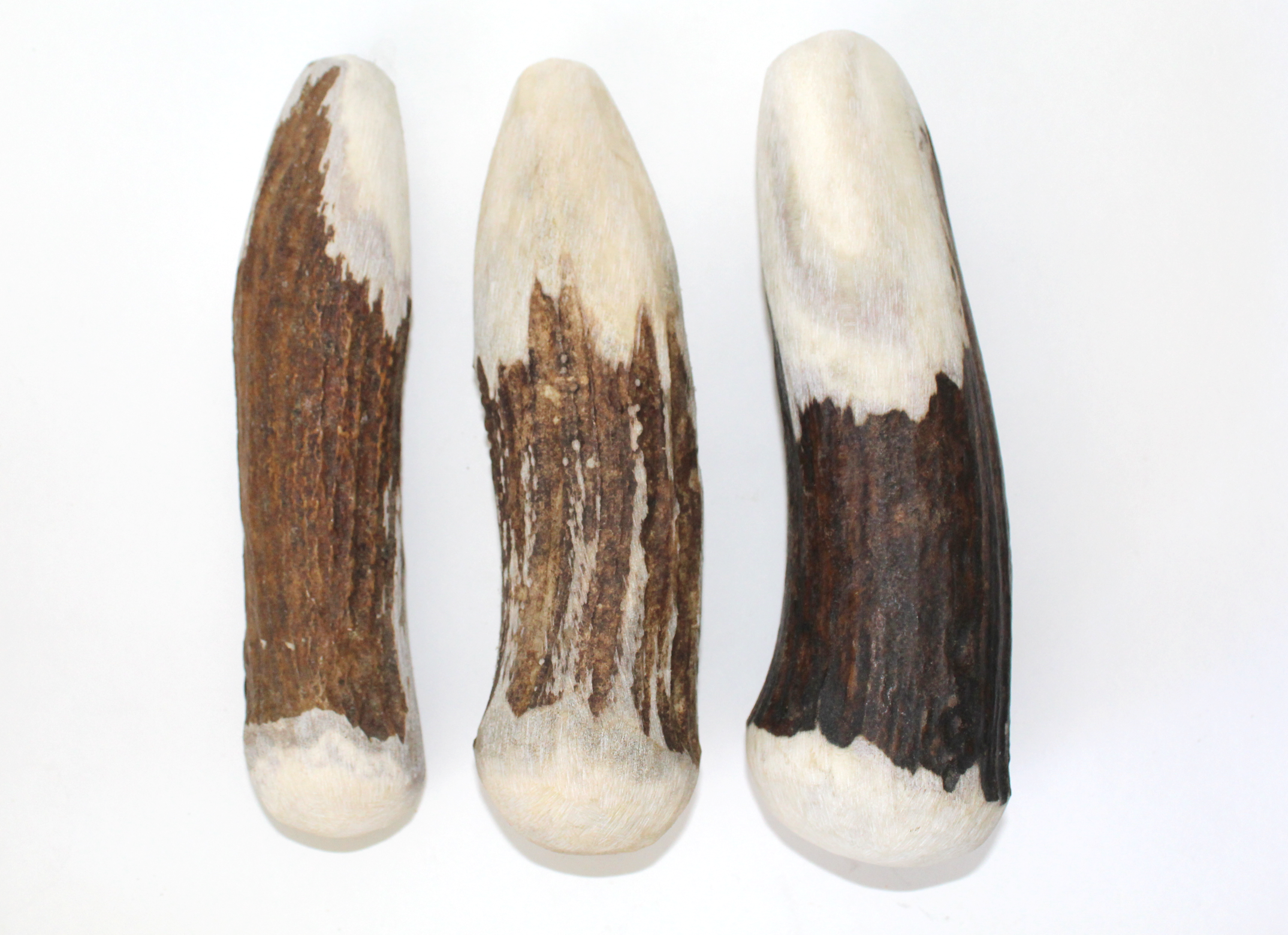 Premium Moose Billets