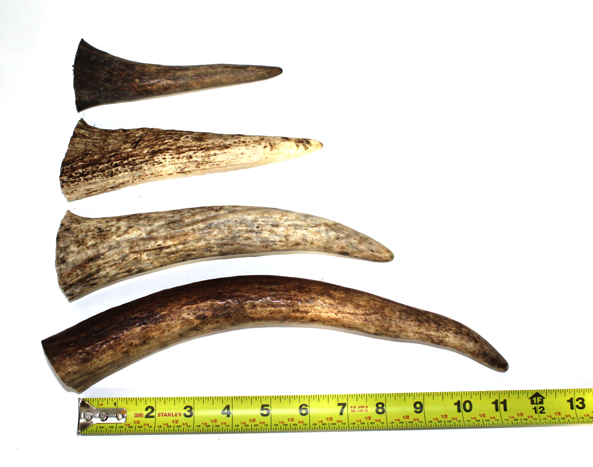 Premium Moose Tines( Select-a-size)