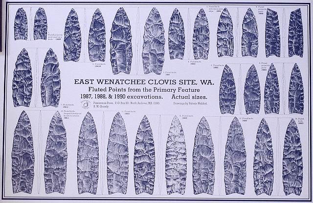 "Wenatchee Clovis Points" by Val Waldorf