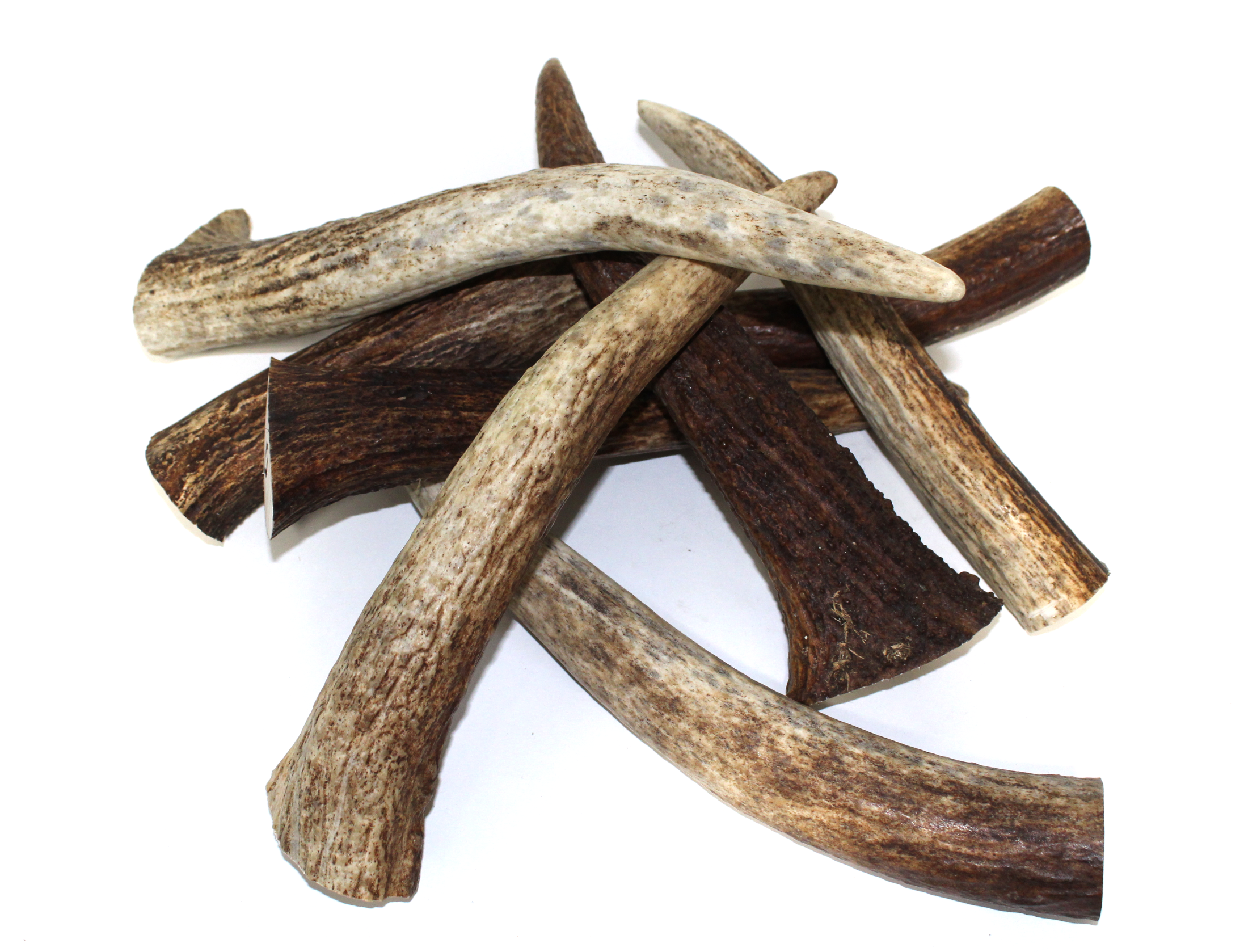 Premium Moose Tines( Select-a-size)