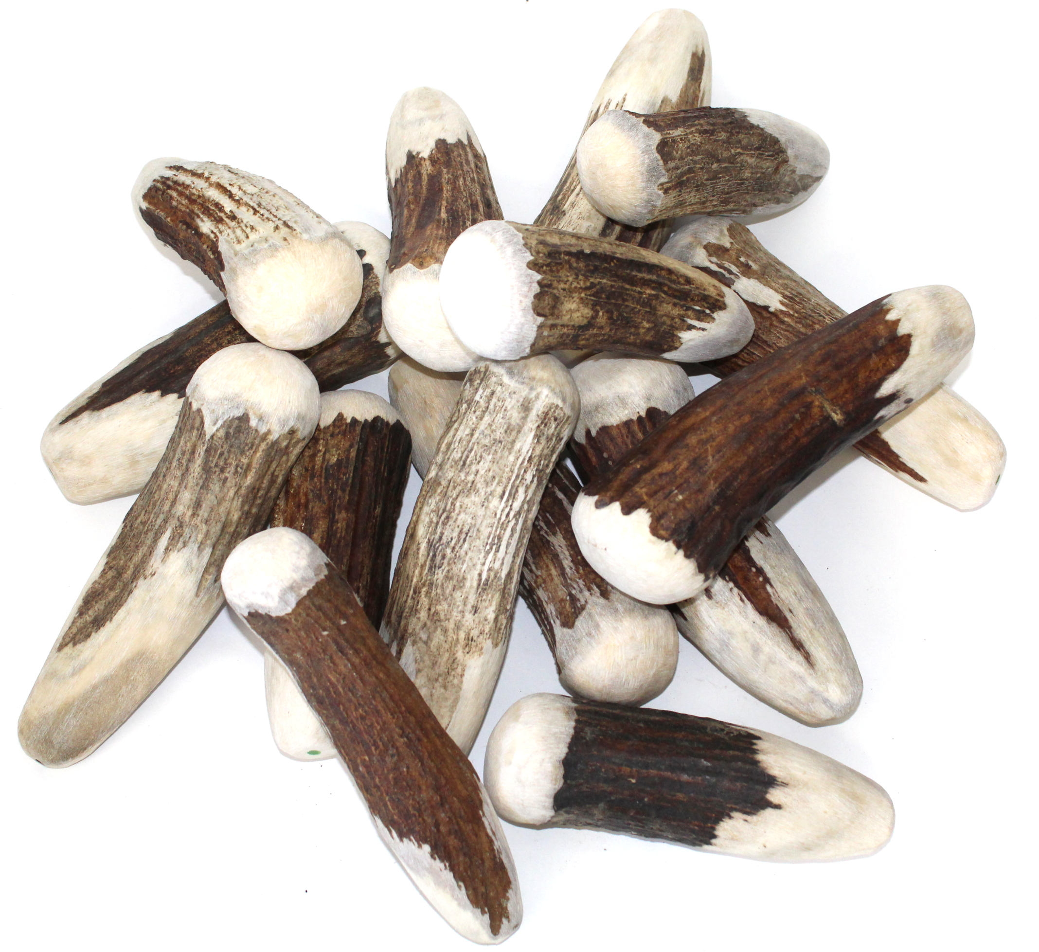 Premium Moose Billets